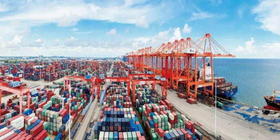 什么是海运口岸服务？？