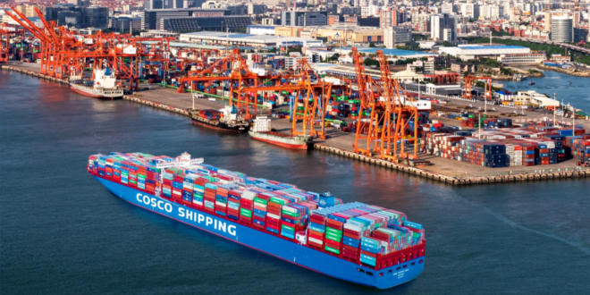 24年内贸集装箱海运回首及25年展望