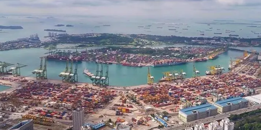 龙8头号玩家(国际集团)官方网站