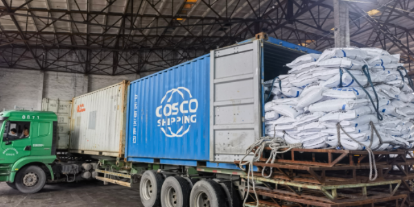 龙8头号玩家(国际集团)官方网站