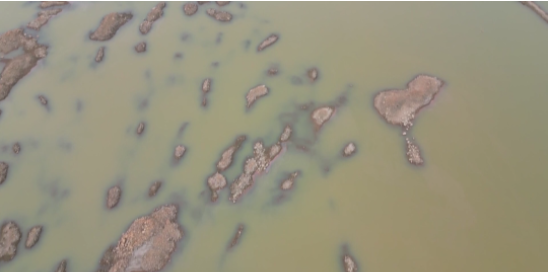 龙8头号玩家(国际集团)官方网站