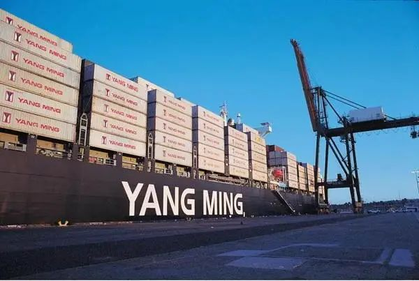 龙8头号玩家(国际集团)官方网站